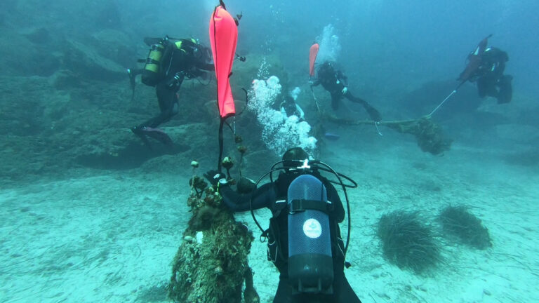 Υποβρύχιοι καθαρισμοί της ΘΠΠ Γυάρου από το WWF Ελλάς και τον Ναυτικό Όμιλο Σύρου (Πηγή: Ζαμπλάκος Αποστόλης /WWF Ελλάς)