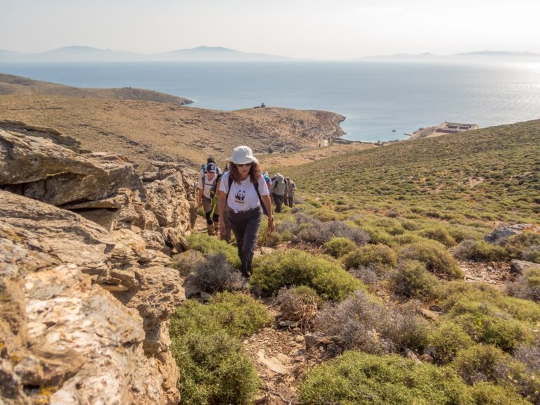 Ξενάγηση των πεζοπόρων Σύρου στα χερσαία μονοπάτια της Γυάρου από το WWF Ελλάς (Πηγή: Δεναξά Βίκυ/ WWF Ελλάς)