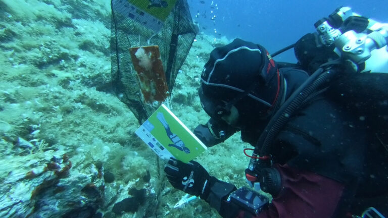 Συντήρηση της σήμανσης των υποβρύχιων μονοπατιών από το WWF Eλλάς (Πηγή: Ζαμπλάκος Αποστόλης /WWF Ελλάς)