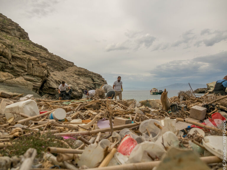 Διενέργεια ετήσιων παράκτιων καθαρισμών από το WWF Ελλάς και τον Όμιλο Φουσκωτών Σκαφών Σύρου (Πηγή: Δεναξά Βίκυ/ WWF Ελλάς)