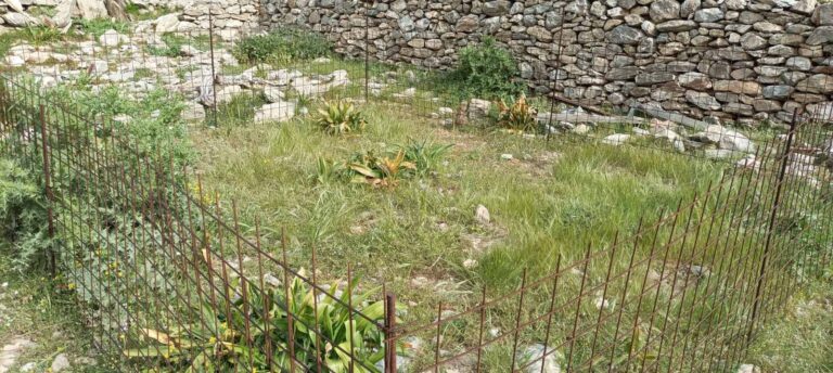 Συντήρηση πειραματικών κλώβων του Μουσείου Φυσικής Ιστορίας Κρήτης στα πλαίσια μελέτης της υπερβόσκησης της νήσου Γυάρου (Πηγή: Ζαμπλάκος Αποστόλης /WWF Ελλάς)