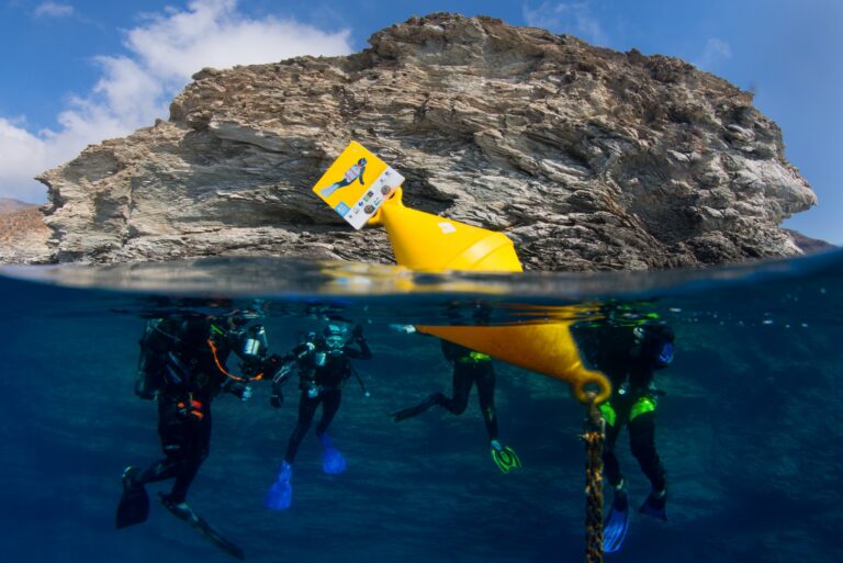 Ξενάγηση τοπικών αυτοδυτών στα σηματοδοτημένα υποβρύχια μονοπάτια της ΘΠΠ Γυάρου (Πηγή: Γ. Ρηγούτσος)
