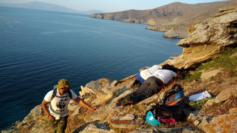 Μελέτη της αποικίας των Μύχων στη Γυάρο από την Ελληνική Ορνιθολογική Εταιρεία και το WWF Ελλάς (Πηγή: Δεναξά Βίκυ/ WWF Ελλάς)