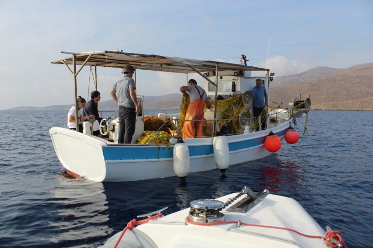 Πειραματική αλιεία με στατικά δίχτυα από το ΕΛΚΕΘΕ (Πηγή: Δεναξά Βίκυ/ WWF Ελλάς)