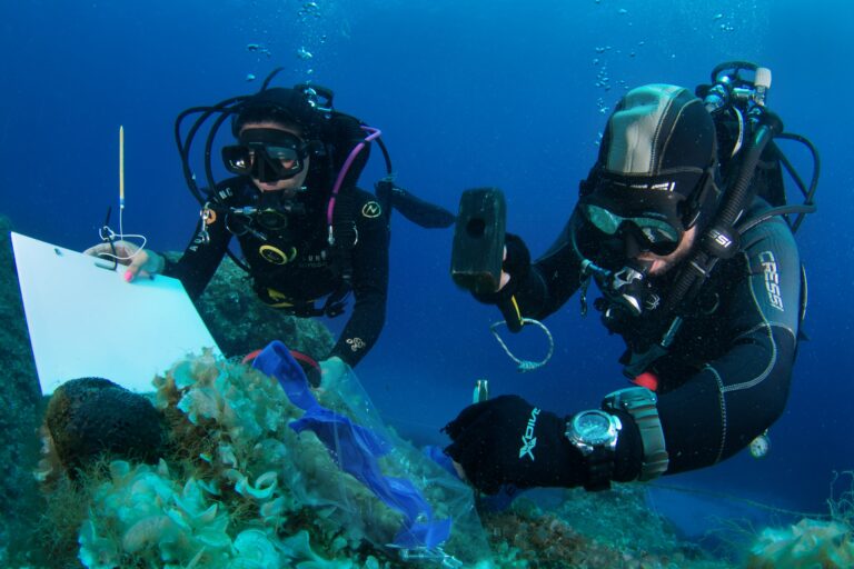 Χαρτογράφηση υποβρυχίων διαδρομών από το WWF Ελλάς (Πηγή: Γ. Ρηγούτσος)