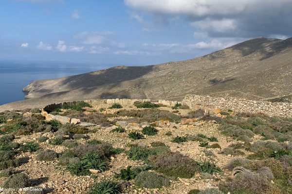 Οι καλλιέργειες του παρελθόντος και τα αλώνια