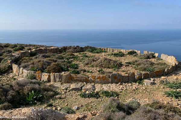 Αλώνι ως χώρος επεξεργασίας σιτηρών