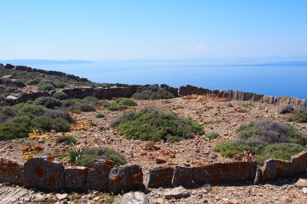 Αλώνι με ορίζοντα την Κέα και την Κύθνο