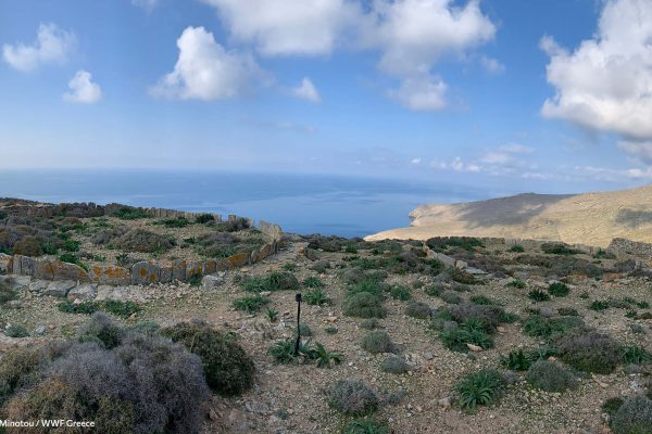 Σύμπλεγμα δύο αλωνιών στη δυτική Γυάρο