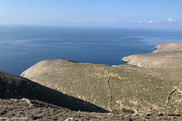 Το ανάγλυφο της δυτικής Γυάρου με τις ξερολιθιές