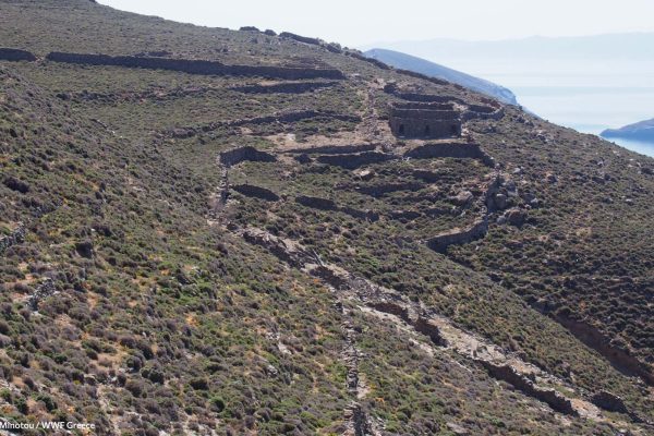 Κτίσματα αποθηκών για τα σιτηρά και κοιτώνες