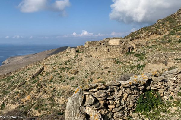 Οικισμός της οικογένειας Ιωάννη Μαραγκού