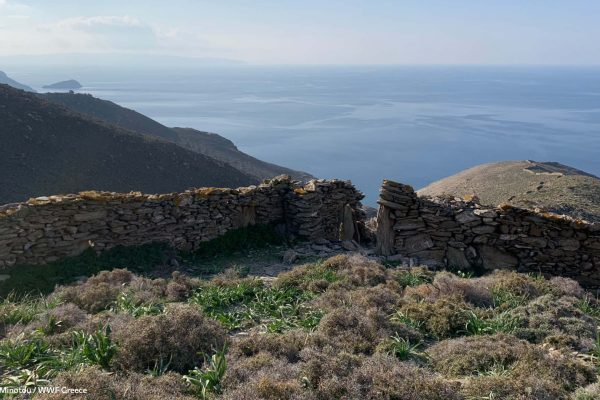 Ξερολιθιά και σημείο θέας προς τα ΒΔ