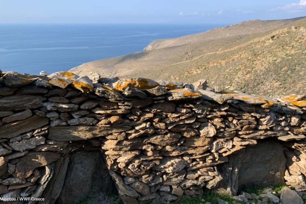 Ξερολιθιές και μονοπάτια οικισμού