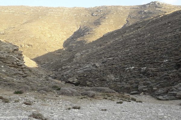 Η ρεματιά που καταλήγει στην παραλία