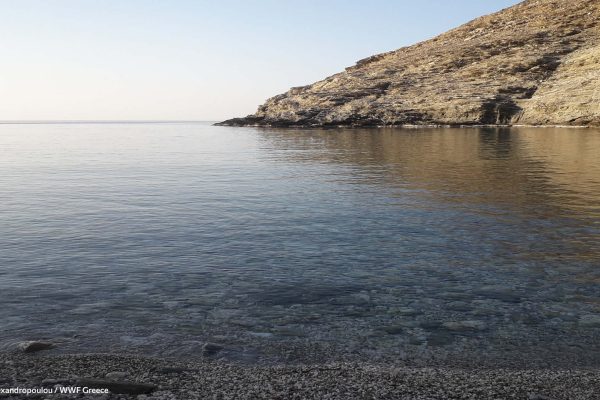 Παράκτιο βραχώδες ανάγλυφο της ΒΔ παραλίας