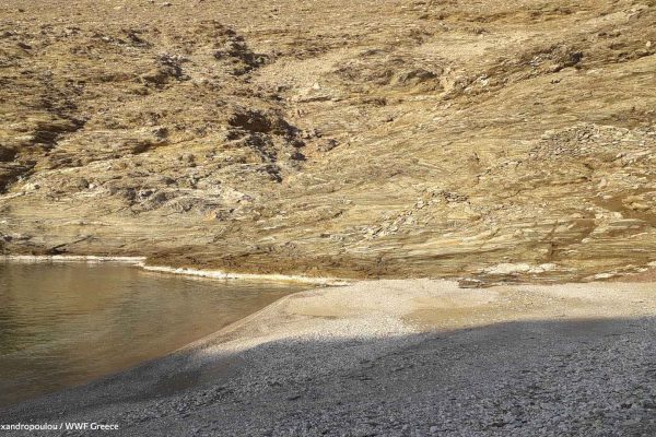Παράκτιο βραχώδες ανάγλυφο της ΒΔ παραλίας