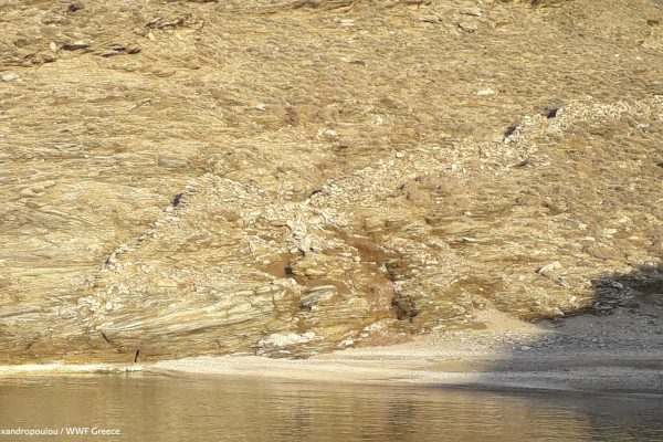 Παράκτιο βραχώδες ανάγλυφο της ΒΔ παραλίας