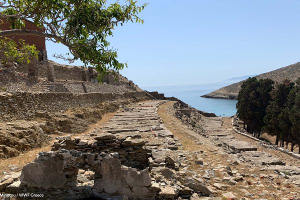 Οι βάσεις των σκηνών του καταυλισμού, καλοκαιρινή άποψη