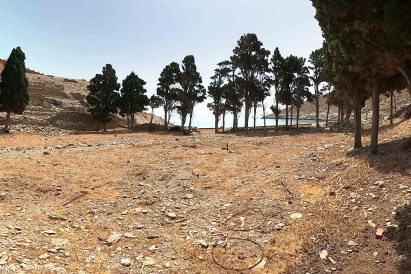 Ελεύθερος χώρος στο αλσύλλιο με τα κυπαρίσσια