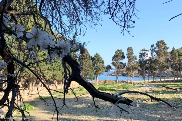 Σημάδια της άνοιξης