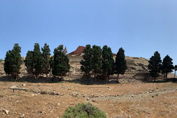 Το αλσύλλιο ως διαφορετικότητα στο άγονο τοπίο