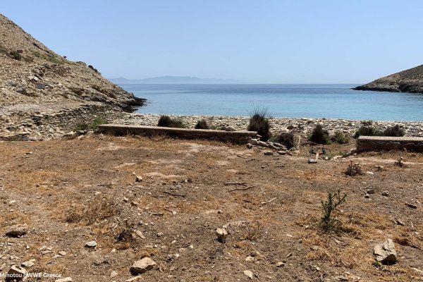 Ατενίζοντας την Τήνο από την υγροτοπική ζώνη της παραλίας