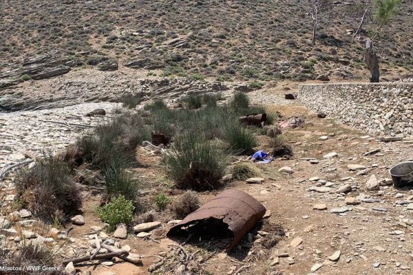 Υγρότοπος παραλίας όρμου φυλακών