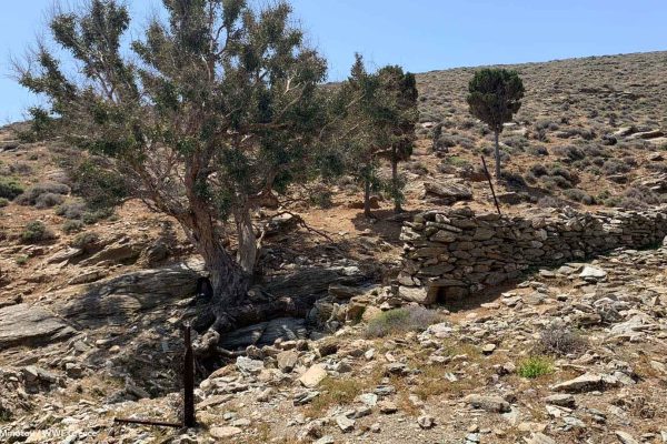 Ξερολιθιά ρεματιάς και περίφραξη