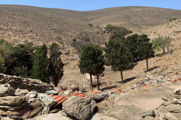 Πηγάδι ρεματιάς και ανάγλυφο