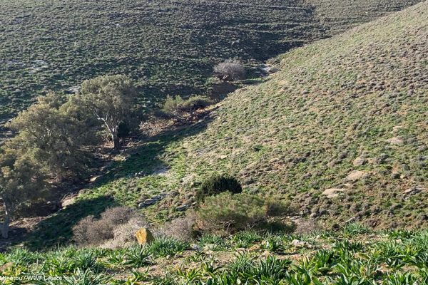 Η ρεματιά του όρμου των αποθηκών, χειμερινή άποψη από τις δεξαμενές νερού