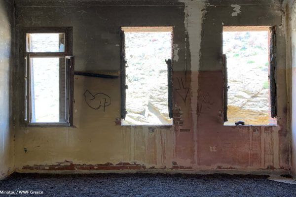 Η θέα από τα παράθυρα του Νοσοκομείου προς τα πρανή