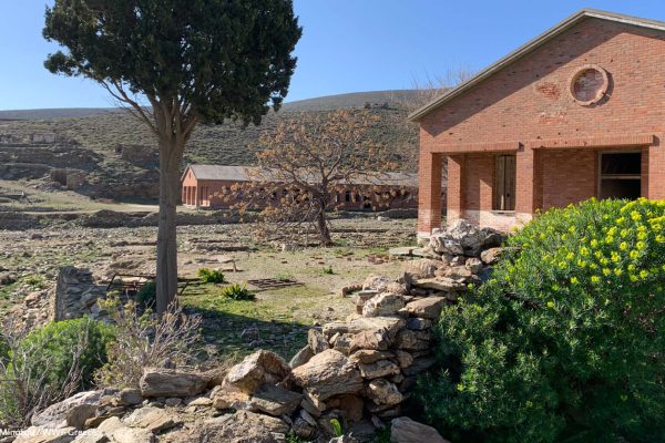 Η αποθήκη και το νοσοκομείο στον 4ο όρμο με τη χαρακτηριστική βλάστηση την άνοιξη