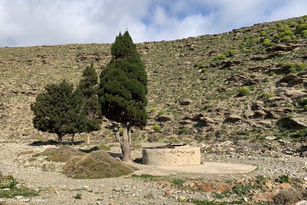 Το πηγάδι της ρεματιάς του 4ου όρμου και η βλάστηση στα πρανή