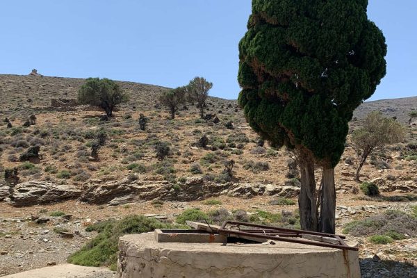 Το κυπαρίσσι δίπλα στο πηγάδι