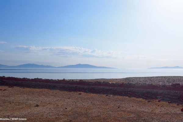 Το πέρασμα στην απομόνωση και στην πειθαρχία με τελευταία θέα  πριν την είσοδο στην κύρια πύλη, τα γειτονικά κυκλαδίτικά νησιά