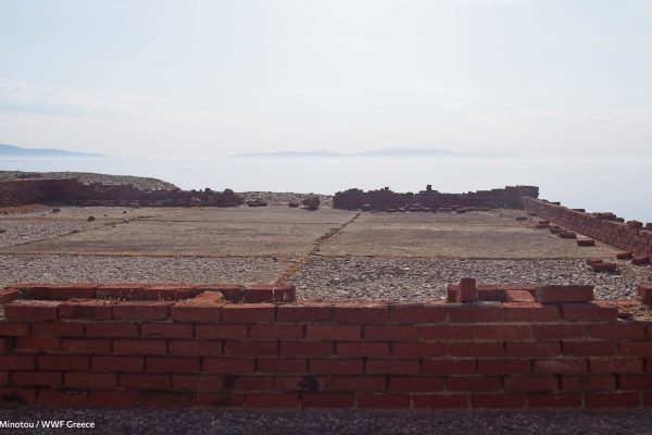 Προαύλιος χώρος κύριας πύλης και ημιτελείς υποδομές επέκτασης του κτιρίου