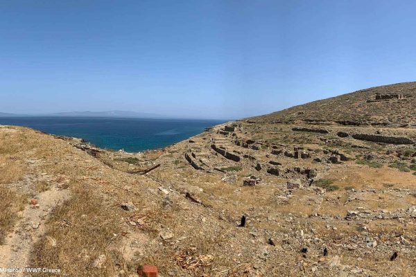 Το φυλάκιο επόπτευσης στα πρανή και η αμφιθεατρική πολυεπίπεδη διάσταση