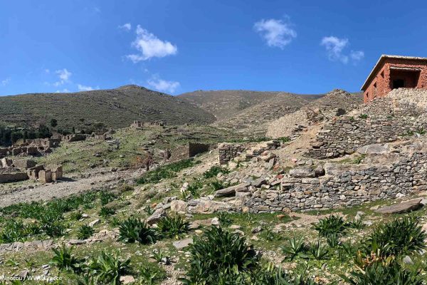 Ερείπια του 1ου καταυλισμού στη Γυάρο και του αλσυλλίου με τα κυπαρίσσια