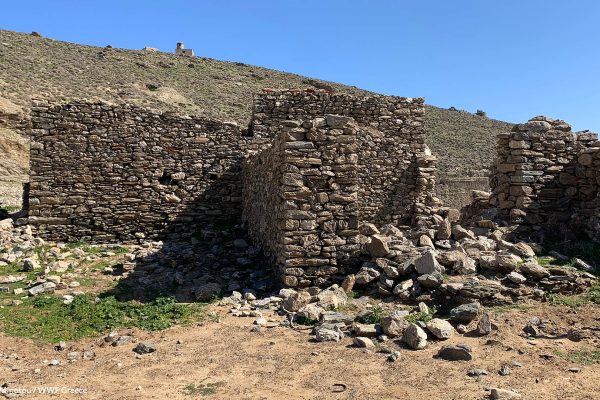 Φυλάκιο επόπτευσης