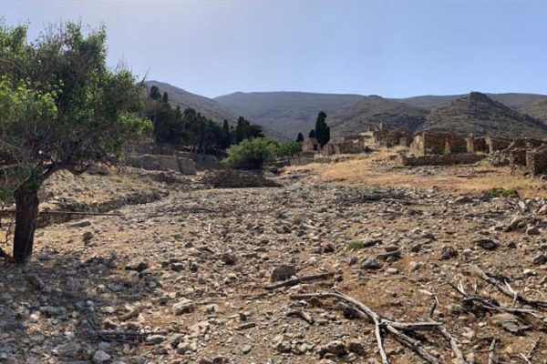 Πανοραμική της ρεματιάς, του αλσύλλιου και των υποδομών του 1ου όρμου