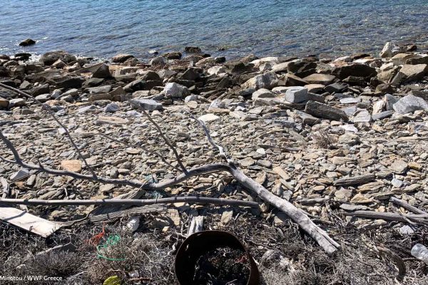 Το πετρώδες ανάγλυφο της παραλίας