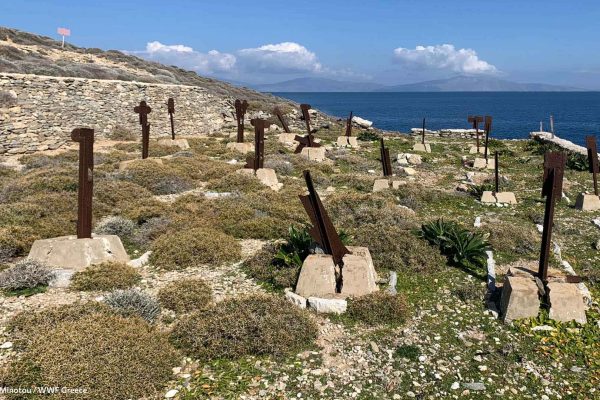Οι σκουριασμένοι σταυροί των μνημάτων
