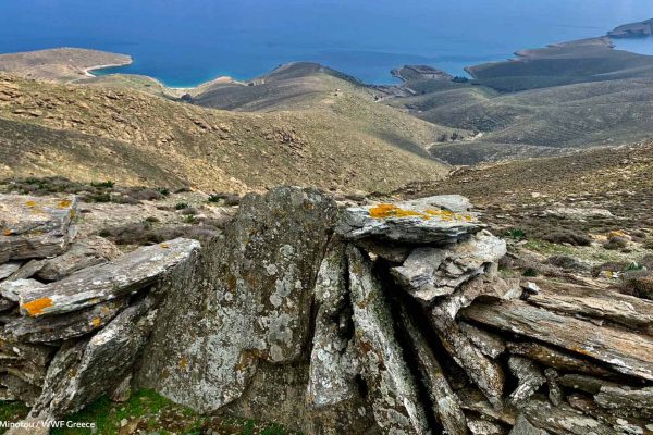 Η ξερολιθιά της κορυφογραμμής, οι 5 όρμοι, οι φυλακές και το γλαρονήσι