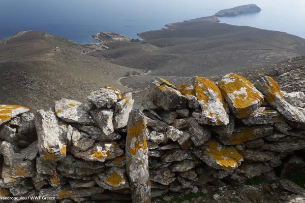 Ξερολιθιά στην κορυφογραμμή και η ρεματιά του 4ου όρμου