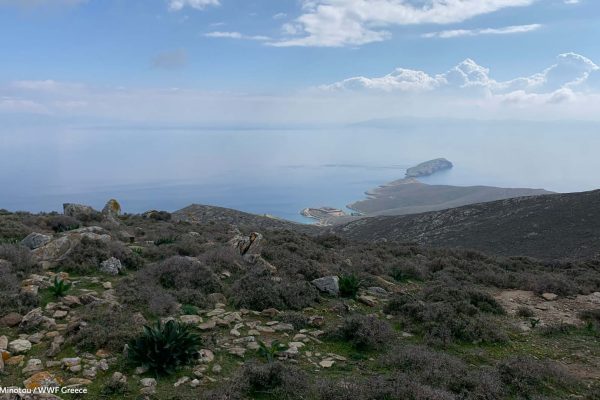 Η Σύρος, το γλαρονήσι, οι φυλακές και ο ορίζοντας από την κορυφογραμμή