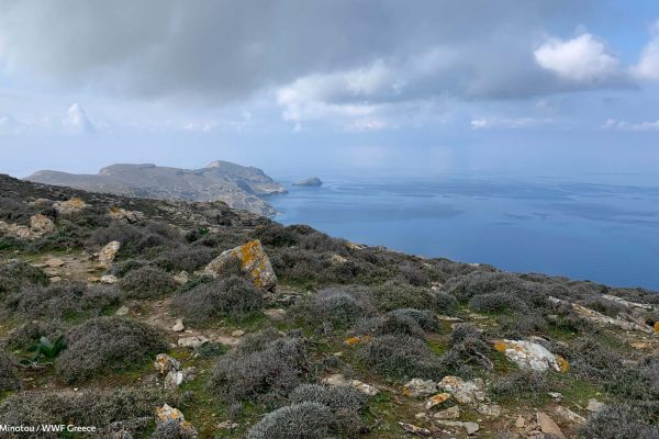 Το νησάκι Φούη
