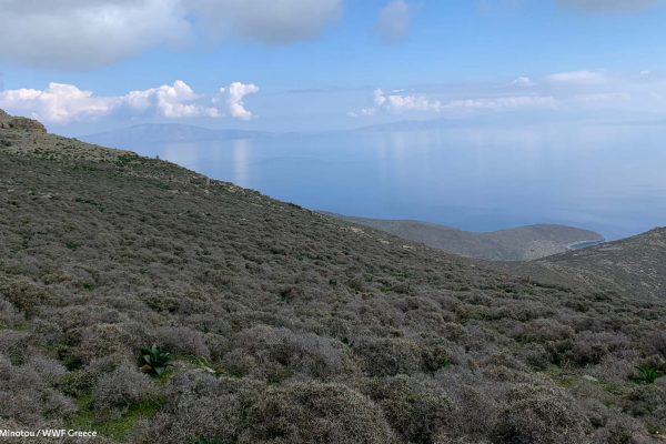 Στον ορίζοντα Τήνος και Άνδρος