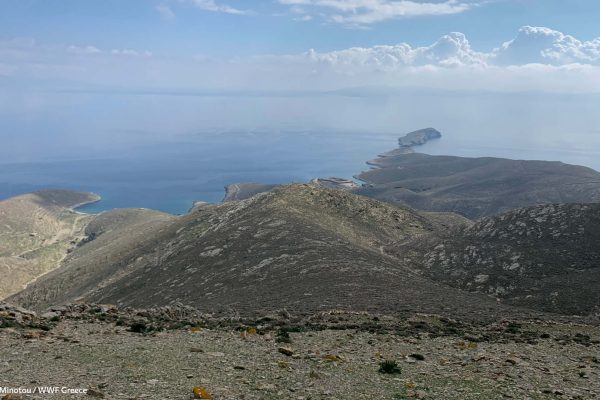 Ατενίζοντας προς τη Σύρο