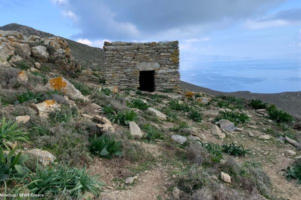 Το εκκλησάκι του Προφήτη Ηλία στην κορυφογραμμή
